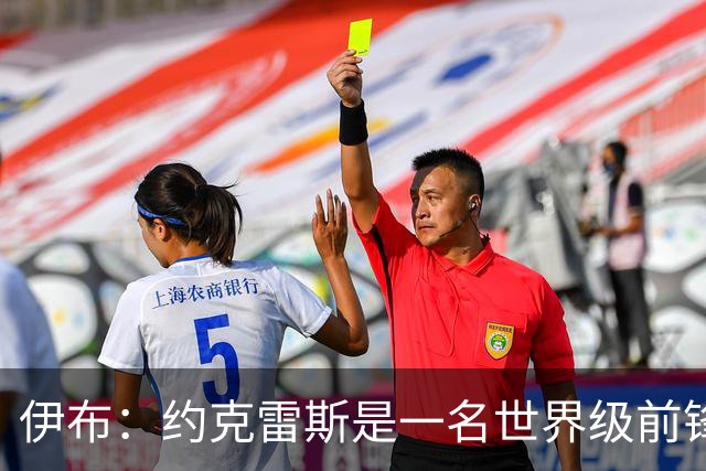 伊布：约克雷斯是一名世界级前锋，指责他进球不够多简直可笑